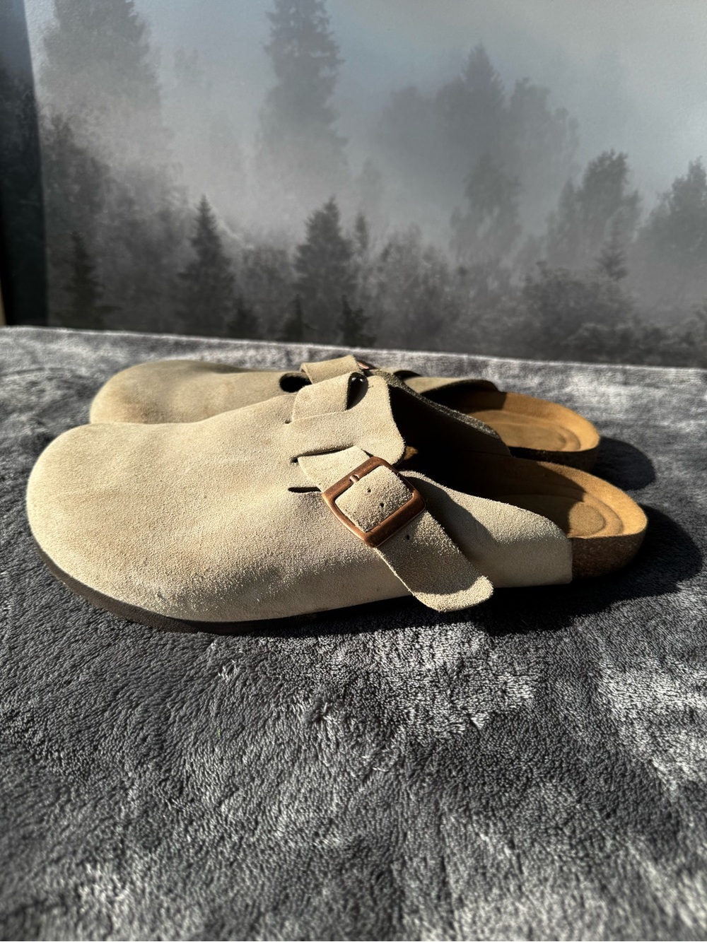 Goodfellow & Co Beige Suede Clog Mules with Buckle